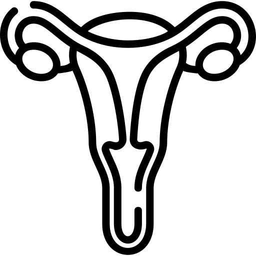 Tubal Block