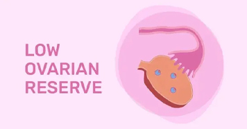 Ayurvedic Image