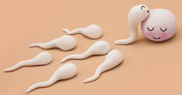 Infertility Image