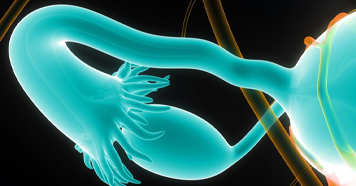 Infertility Image
